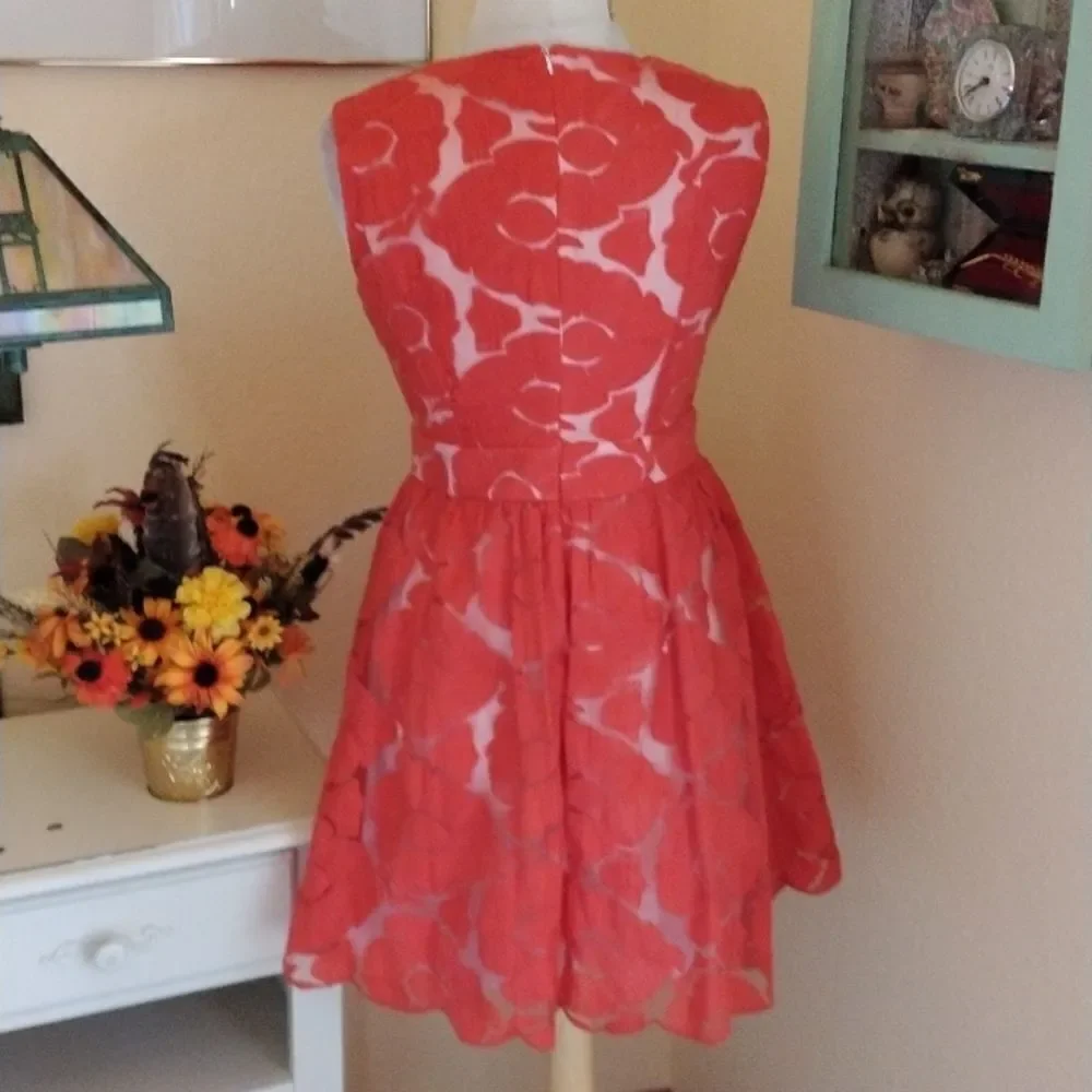 C. Luce Embroidered Dress Cottagecore - Picture 5 of 11